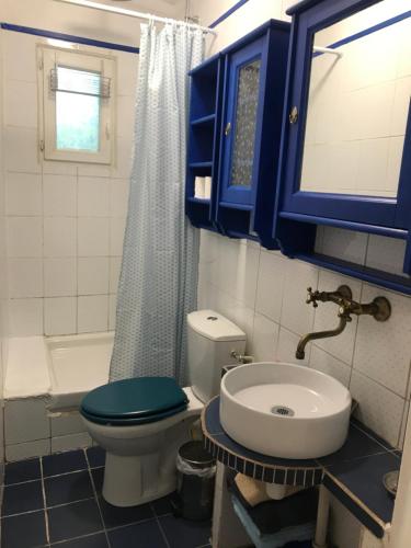 ein Badezimmer mit einem WC, einem Waschbecken und blauen Schränken in der Unterkunft Studio mitoyen / 2 personnes in Hyères