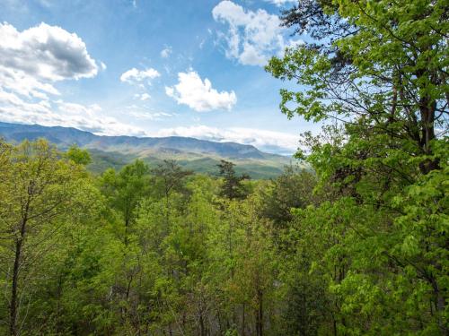 a view of the mountains through the trees at Edens View in Gatlinburg