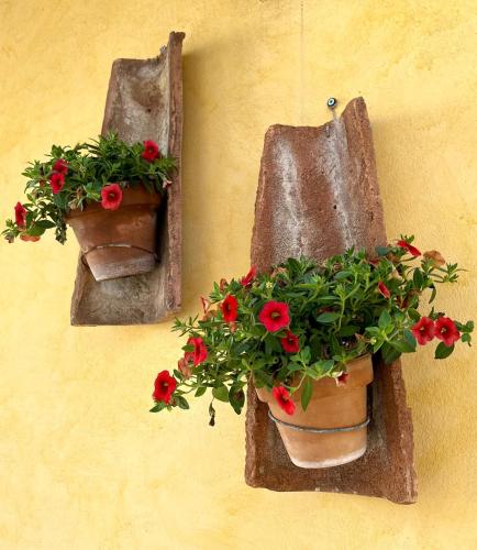 two flower pots on a wall with red flowers in them at Il grillo in Rosignano Marittimo