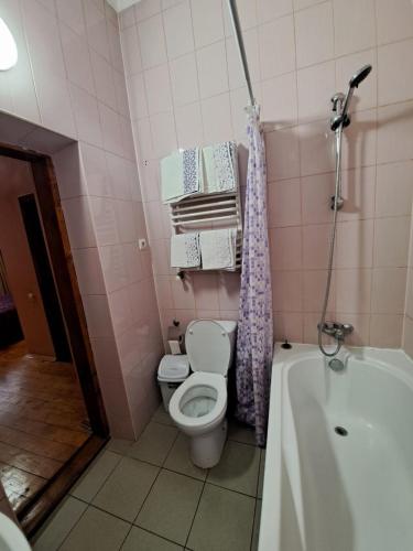 a bathroom with a toilet and a bath tub at Zatyshok in Chernivtsi