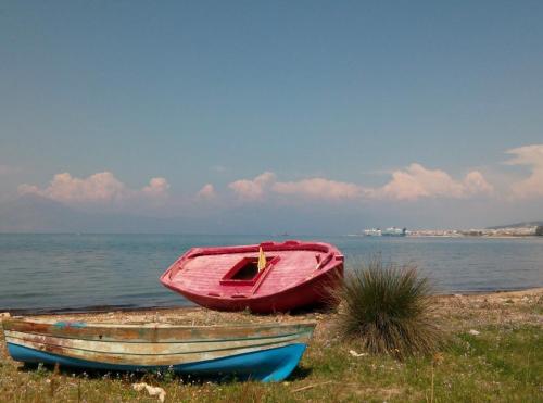 a red boat sitting on the grass next to the water at Patras Palm Tree in Patra
