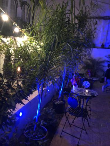 a patio with a table and some plants and lights at Pátio da Villa - Coruche Boutique Guest House in Coruche