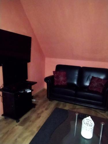 a living room with a black leather couch and a tv at Samostatný domeček in Klášterec nad Ohří