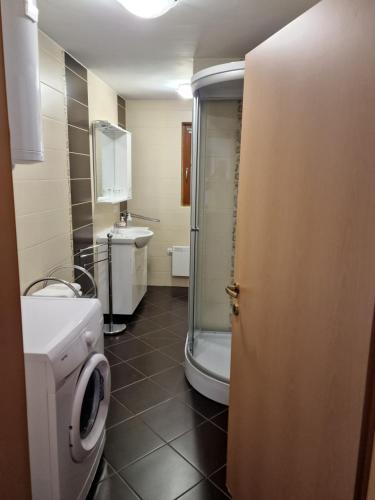 La salle de bains est pourvue d'une douche, de toilettes et d'un lavabo. dans l'établissement Vacation House Donacka Gora, à Rogatec