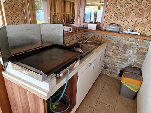 Kuchyň nebo kuchyňský kout v ubytování Vacation House Donacka Gora