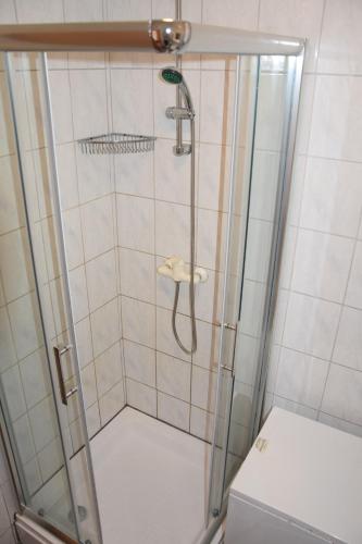 prysznic ze szklanymi drzwiami obok toalety w obiekcie Apartment Blanusa B w mieście Povljana