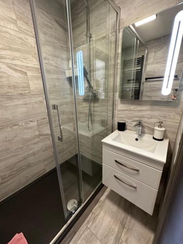 a bathroom with a sink and a glass shower at Green Corner Villa in Torquay