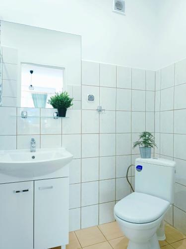 a white bathroom with a toilet and a sink at Przystań Tło dla Mew in Rydzewo