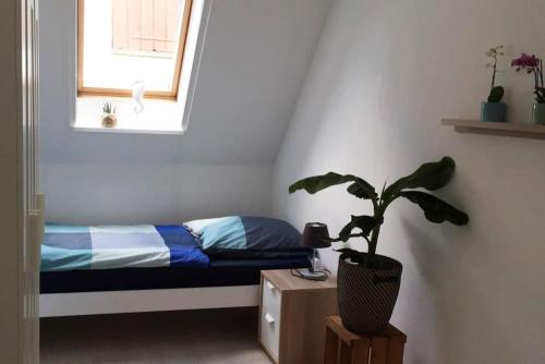 ein Schlafzimmer mit einem Bett und einer Topfpflanze in der Unterkunft 22b große Wohnung mit Balkon, SmartTV und Wlan in Korb