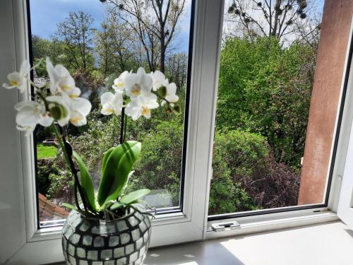 un jarrón con flores blancas sentado en el alféizar de la ventana en Maison d'hôtes La Renardière en Reichshoffen