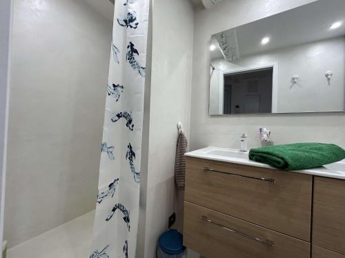 une salle de bain avec un lavabo et un miroir dans l'établissement Appartement 3 Pièces Climatisé au Cœur de Sainte-Maxime, à 100m des Plages - FR-1-226-513, à Sainte-Maxime