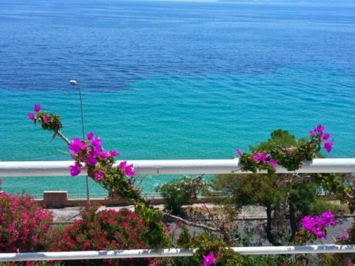 - un balcon fleuri avec vue sur l'océan dans l'établissement Villa au Lavandou avec terrasse, climatisation et option Wi-Fi - FR-1-308-174, au Lavandou