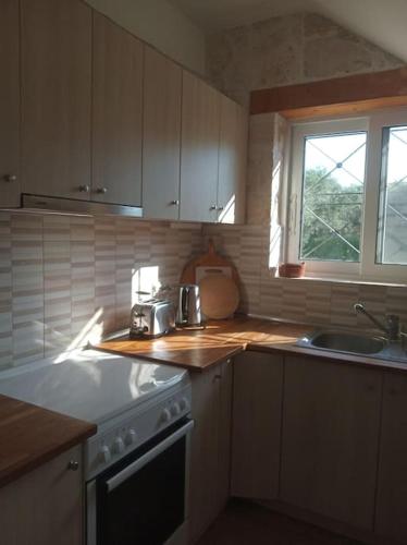 a kitchen with a sink and a stove top oven at Olive Trees in Tragaki