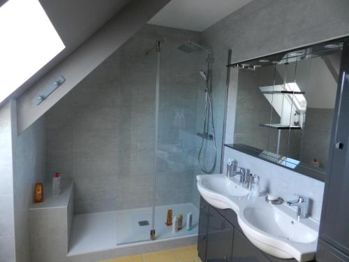 ein Bad mit einem Waschbecken und einer Glasdusche in der Unterkunft chambres d'hôtes naturistes de la moque souris in Saint-Pierre-de-Mailloc