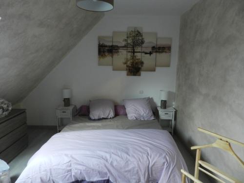ein Schlafzimmer mit einem Bett mit zwei Nachttischen und zwei Lampen in der Unterkunft chambres d'hôtes naturistes de la moque souris in Saint-Pierre-de-Mailloc