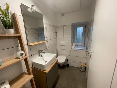 een badkamer met een wastafel, een toilet en een spiegel bij Azimut Hiša in Tolmin
