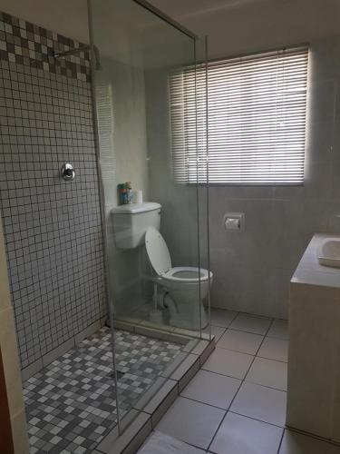 a bathroom with a toilet and a glass shower at Karoo Manor Guesthouse and Restaurant in Richmond