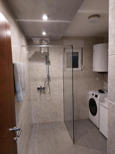a bathroom with a shower and a washing machine at Elite-stan na dan in Berane