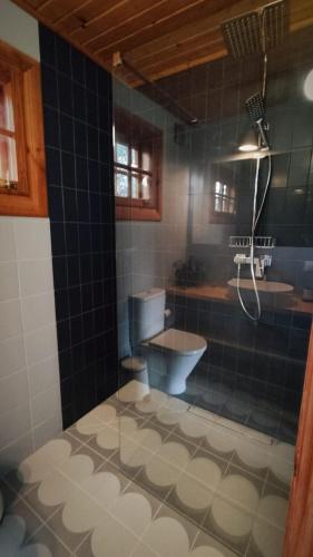 Bilik mandi di Przytulia - chata na bezdrożach Roztocza