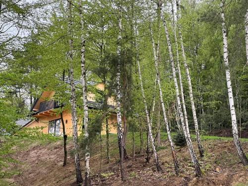 Φωτογραφία από το άλμπουμ του Drewniany Domek nad Doliną Dunajca σε Zakliczyn