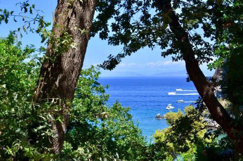 Casa Rosada - villa vista mare - Ischia photo 2