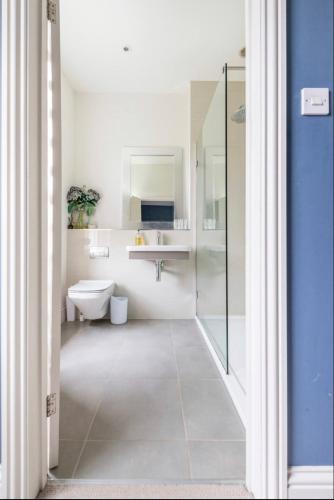 a bathroom with a shower and a toilet and a sink at Townhouse - free parking, garden & games room in Exeter