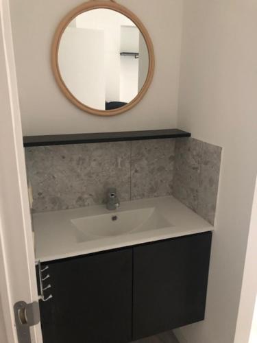 a bathroom with a sink and a mirror at Le Louis Vakantiehuis in Lanaken