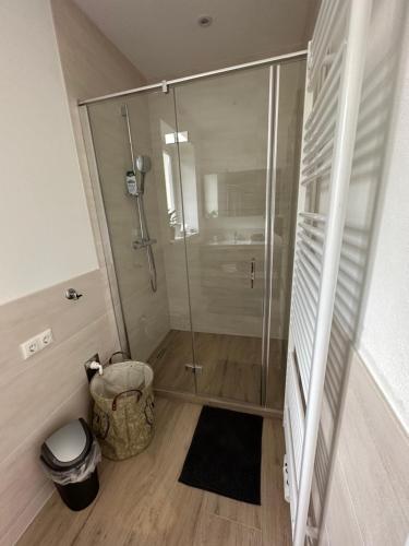 eine Dusche mit einer Glastür in einem Badezimmer in der Unterkunft Traunkai Apartments Bad Ischl in Bad Ischl