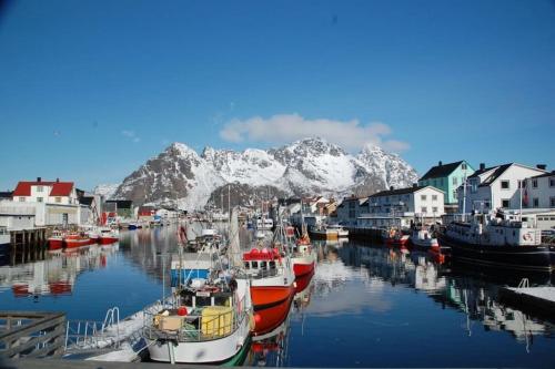 a group of boats docked in a harbor with mountains at Seafront appartment Henningsvær in Henningsvær