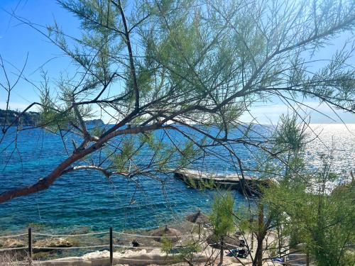 a view of a beach with a tree and the ocean at Beachhouse 2min to the sea with pool & wonderful garden in Calvià