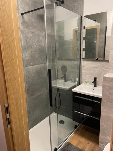 a bathroom with a glass shower and a sink at Przy Błoniach in Szczecin