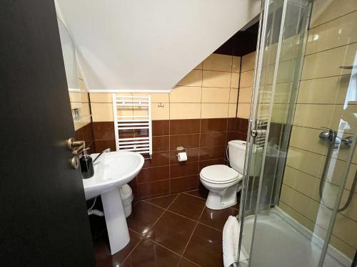 uma casa de banho com um WC, um lavatório e um chuveiro em Pensiunea Aliart em Zărneşti