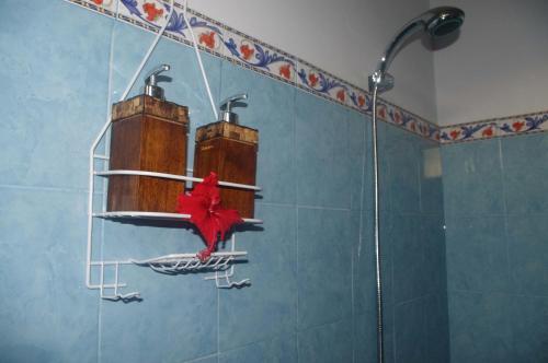 ウブドにあるラマニーヤ ハウスのバスルーム(赤い葉の壁にシャワー付)