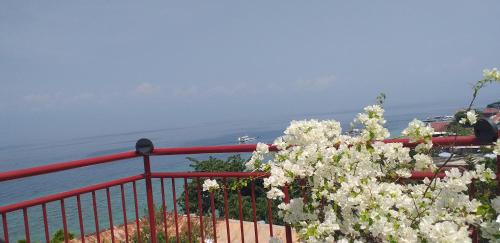 a red railing with white flowers in front of the ocean at Strandhaus Condotel in Moalboal