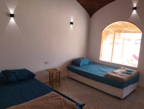 1 dormitorio con 2 camas y ventana en Full Moon Camp Sinai en Nuweiba