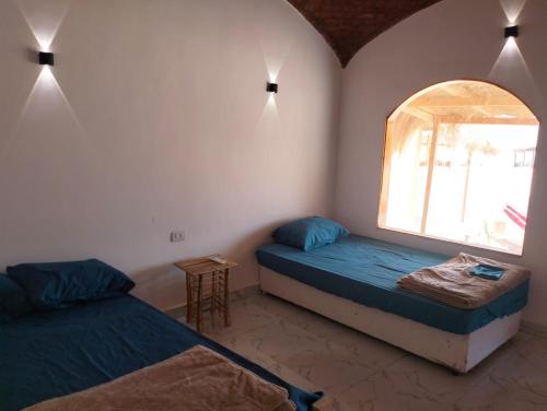 Ένα ή περισσότερα κρεβάτια σε δωμάτιο στο Full Moon Camp Sinai