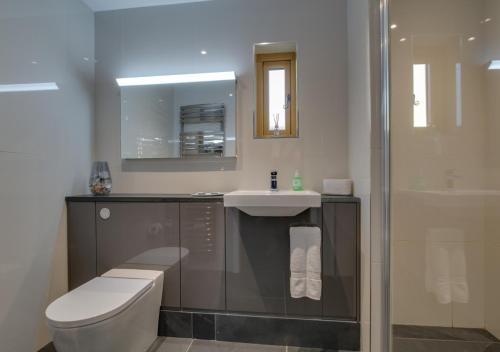 a bathroom with a toilet and a sink and a shower at Bedwen in Llanfihangel-geneuʼr-glyn