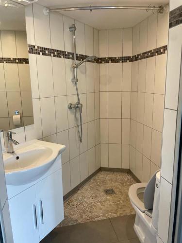 a bathroom with a sink and a shower and a toilet at Jagdzimmer in Thalheim