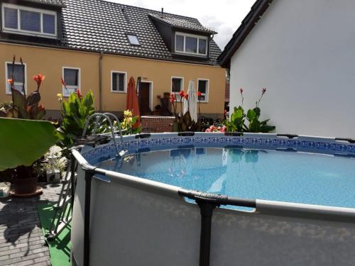 a swimming pool in a yard with a house at Ferienwohnungen Kusche in Stennewitz