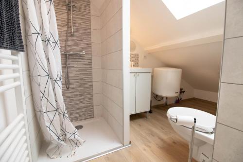 a bathroom with a shower and a toilet at Studio duplex, proche université in Montbéliard