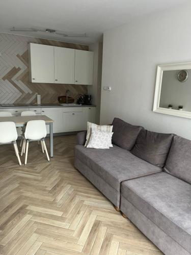 a living room with a gray couch and a kitchen at Apartament Śnieżny in Karpacz