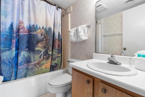 Et badeværelse på Deer Ridge Mountain Resort D301
