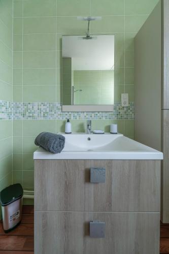 une salle de bain avec un lavabo et un miroir dans l'établissement Le Pasteur - Grand appartement lumineux - Centre-ville, à Vichy