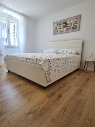 Apartment Andy