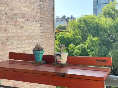 two potted plants sitting on top of a wooden bench at Departamento RIOJA in Paraná