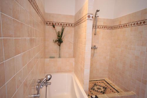 uma casa de banho com um chuveiro e uma banheira em Casa Sultana em Propriano