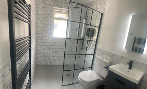 La salle de bains est pourvue de toilettes et d'une douche en verre. dans l'établissement Errigal Lodge, Dunlewey, à Gweedore