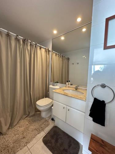 een badkamer met een toilet, een wastafel en een spiegel bij Del Mar in Viña del Mar