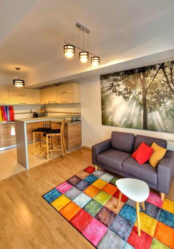a living room with a couch and a colorful rug at Cosy one bedroom apartment, close to Iulius Mall in Cluj-Napoca