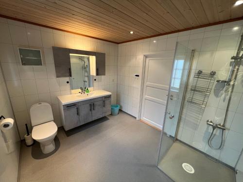 a bathroom with a toilet and a sink and a shower at Trollstigen Resort in Åndalsnes